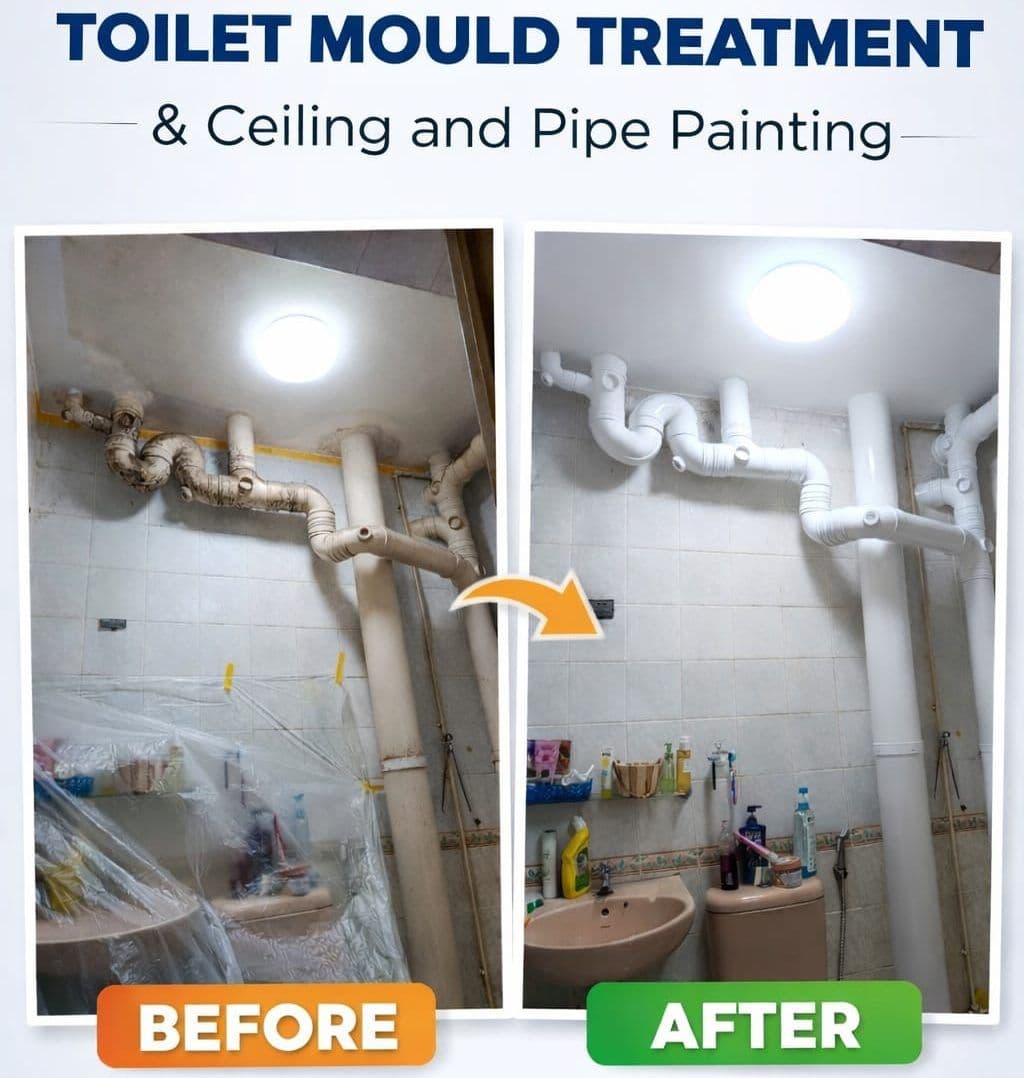 Toilet Mould Treatment & Ceiling and Pipe Painting